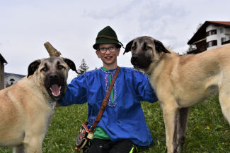 herdenschutzhund herdenschutzhund