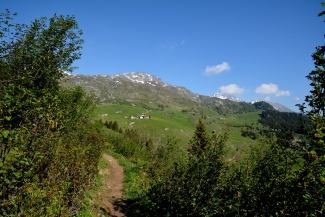 Alpleben über dem Marmorerasee