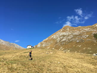 Trailrunning