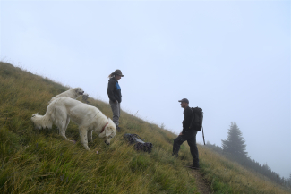 Unterwegs Wildhüter Unterwegs Wildhüter