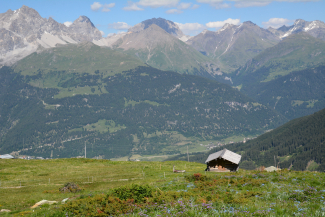 Besichtigung Melkstall Alp Naladas