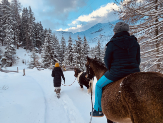 Kutschenfahrten und Reitausflüge