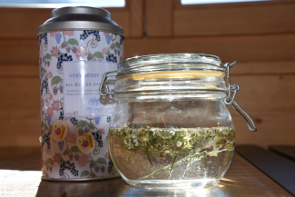 Unterwegs Arturo Unterwegs Arturo