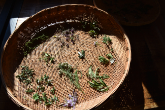 Unterwegs Arturo Unterwegs Arturo