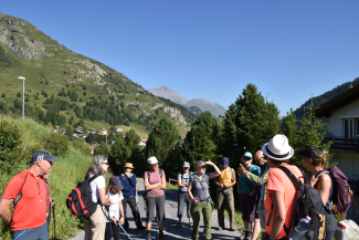 Unterwegs Arturo Unterwegs Arturo