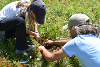 Unterwegs Arturo Unterwegs Arturo