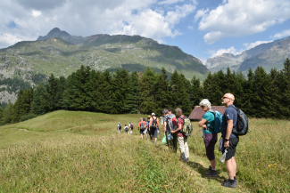 Unterwegs Arturo Unterwegs Arturo