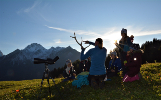 Kinderwildbeobachtungstour ""