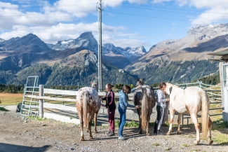 Reiten im Savognin Reiten im Savognin