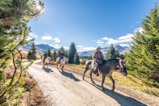 Reiten im Savognin Reiten im Savognin