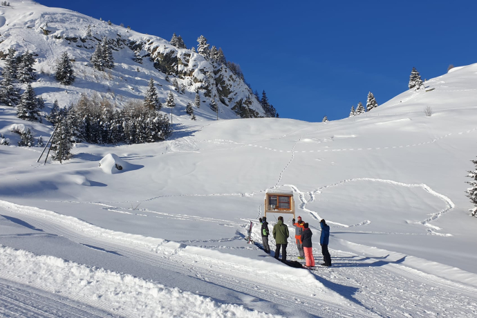Freeride and Saftey Festival
