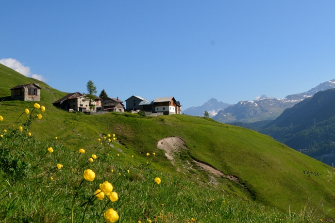 Sur Ragn Sur Ragn