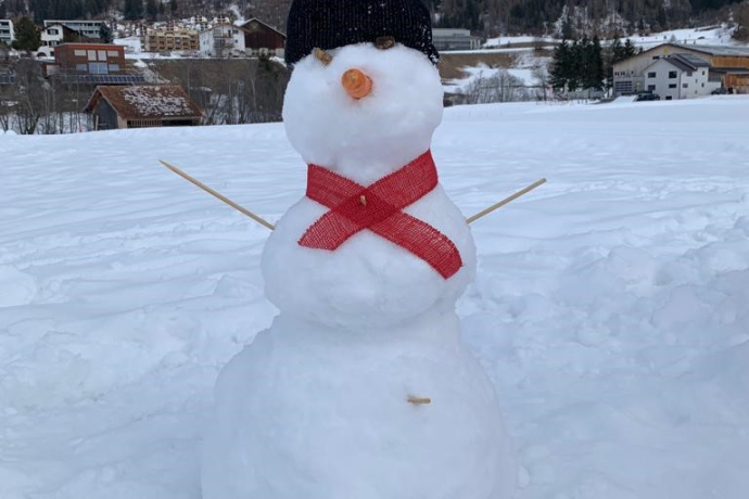 Schneemann-Contest