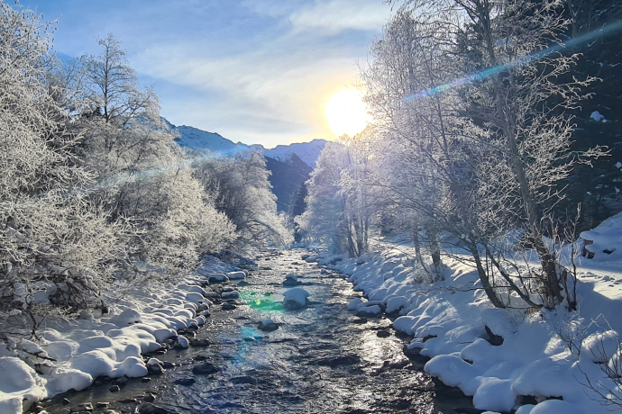 Winterwandern Savognin Winterwandern Savognin