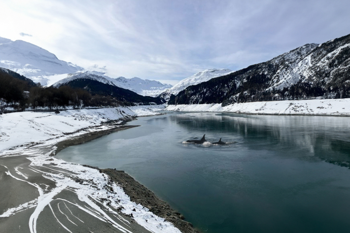 Lai da Marmorera mit Orcas