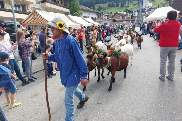 Einzug des Geissenpeters