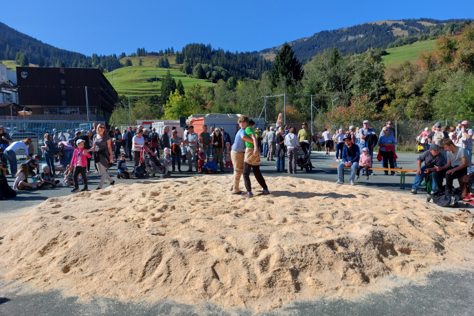 Show-Schwingen