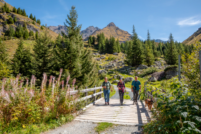 Wildbeobachtungstour  ""