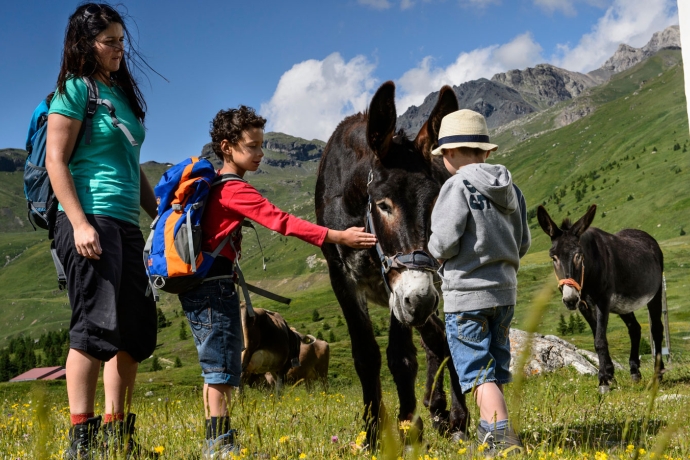 Reiten auf der Alp Flix Reiten auf der Alp Flix