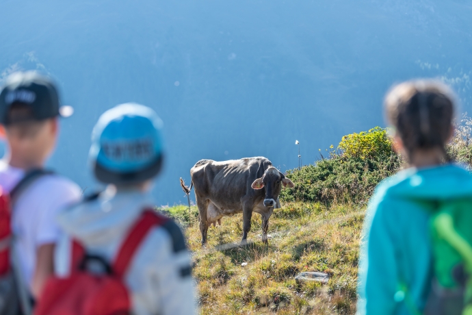 Themenweg Alpenleben Themenweg Alpenleben