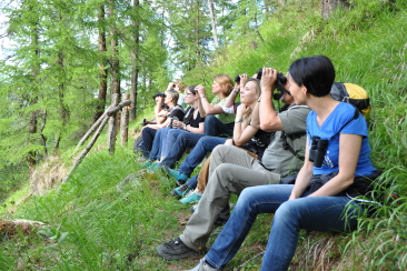 Wildbeobachtung Gruppe