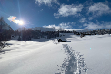 Schneeschuh Königstour