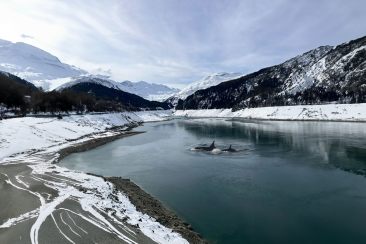 Lai da Marmorera mit Orcas