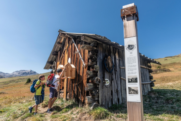 themenweg-alpleben-somtgant-tgamon